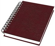 AGENDA DI�RIA C/ WIRE-O LISO ESPECIAL