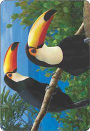 Calend�rio Animais